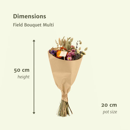Droogbloemen boeket - Field Bouquet Multi - Droogboeket - 50cm - Ø20