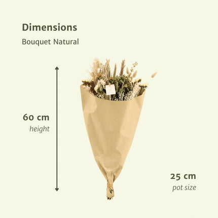 Droogbloemen boeket - Bouquet Natural - Droogboeket - 60cm - Ø25