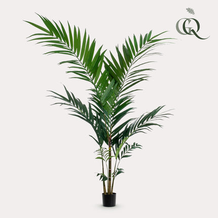 Kentiapalme - 150 cm - Kunstpflanze
