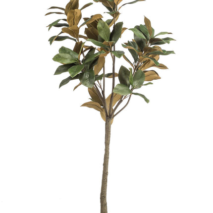 Magnolia Grandiflora - Abelia - 150 cm - Kunstpflanze