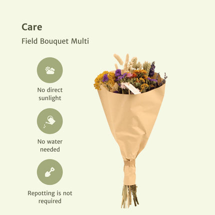 Droogbloemen boeket - Field Bouquet Multi - Droogboeket - 60 cm - Ø 25
