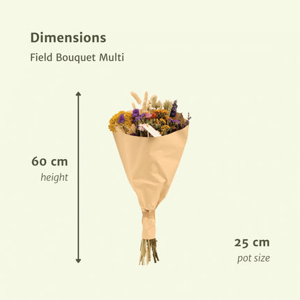 Droogbloemen boeket - Field Bouquet Multi - Droogboeket - 60 cm - Ø 25