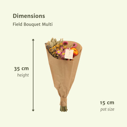 Droogbloemen boeket - Field Bouquet Multi - Droogboeket - 35cm - Ø15