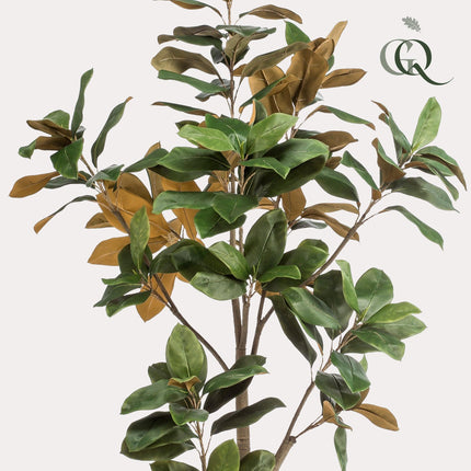 Magnolia Grandiflora - Abelia - 180 cm - Kunstplant