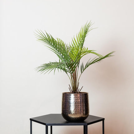 Chamaedorea – Bergpalme – 50 cm – Kunstpflanze