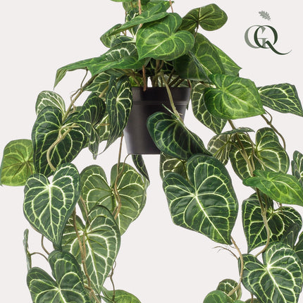 Anthurium Clarinervium - Aderplant - 80 cm - Kunstplant
