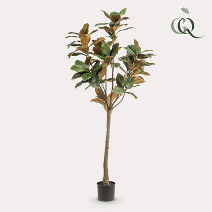 Magnolia Grandiflora - Abelia - 150 cm - Kunstpflanze