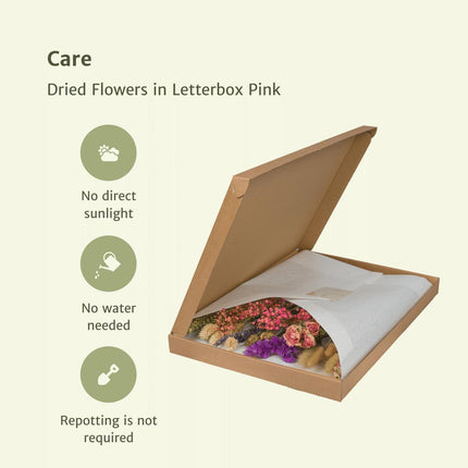 Droogbloemen in brievenbus doos - Letterbox Pink - Droogboeket - 35cm - Ø10
