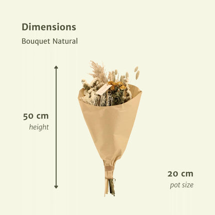 Trockenblumen - Bouquet Natural - Trockenstrauß - 50cm - Ø20
