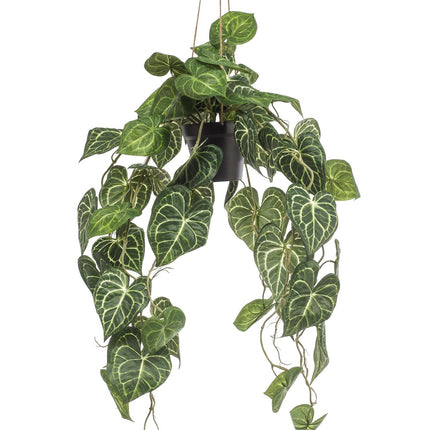 Anthurium Clarinervium - Aderplant - 80 cm - Kunstplant