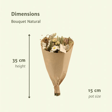 Droogbloemen boeket - Bouquet Natural - Droogboeket - 35cm - Ø15