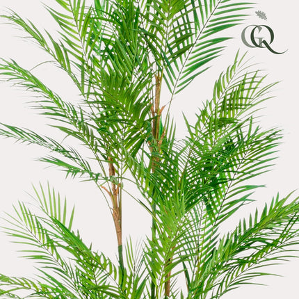 Chamaedorea Elegans - Bergpalme - 180 cm - Kunstpflanze