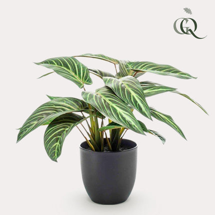 Calathea Zebrina - Shade plant - 38 cm - Artificial plant