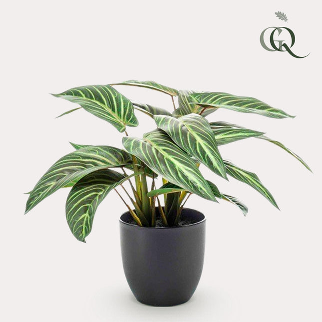 Calathea Zebrina - Shade plant - 38 cm - Artificial plant