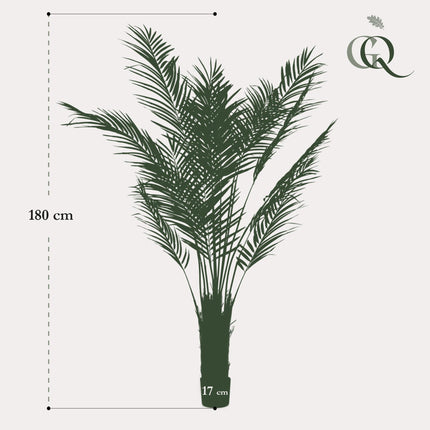 Areca Lutescens - Goudpalm - 180 cm - kunstplant