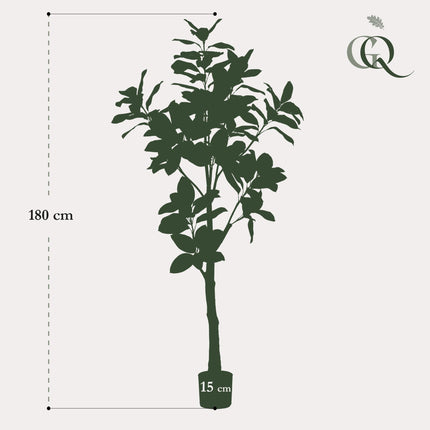 Magnolia Grandiflora - Abelia - 180 cm - Kunstpflanze