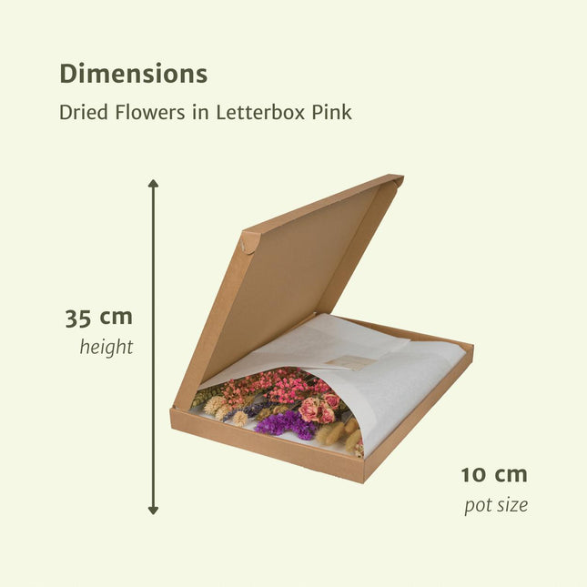 Dried flowers in Letterbox Pink - Dried bouquet - 35cm - Ø10