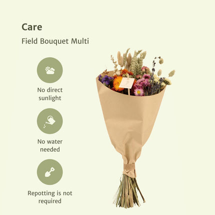 Trockenblumen - Field Bouquet Multi - Trockenstrauß - 50cm - Ø20