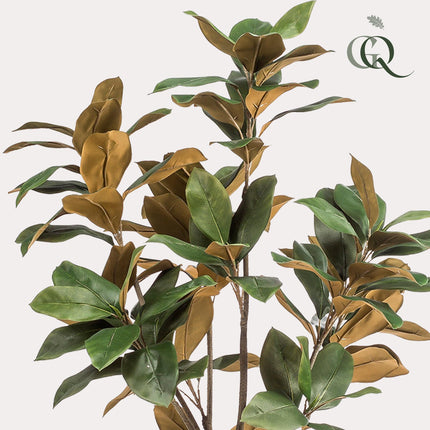 Magnolia Grandiflora - Abelia - 150 cm - Kunstplant
