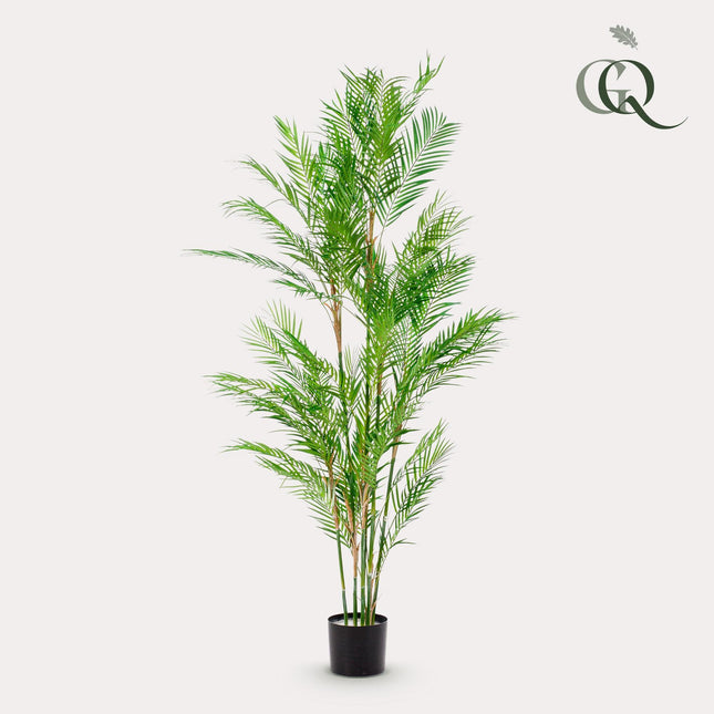 Chamaedorea Elegans - Mountain palm - 180 cm - Artificial plant