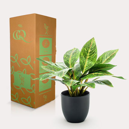 Croton Codiaeum - Miracle Shrub - 38 cm - Artificial plant